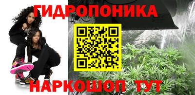 jwh Бийск
