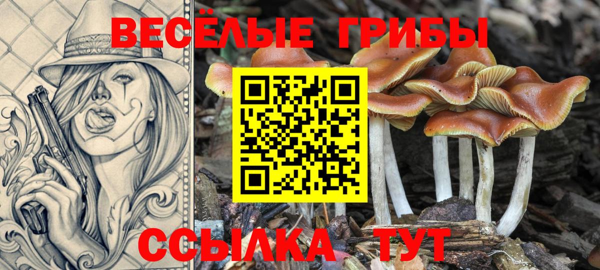 Псилоцибиновые грибы ЛСД Ачхой-Мартан