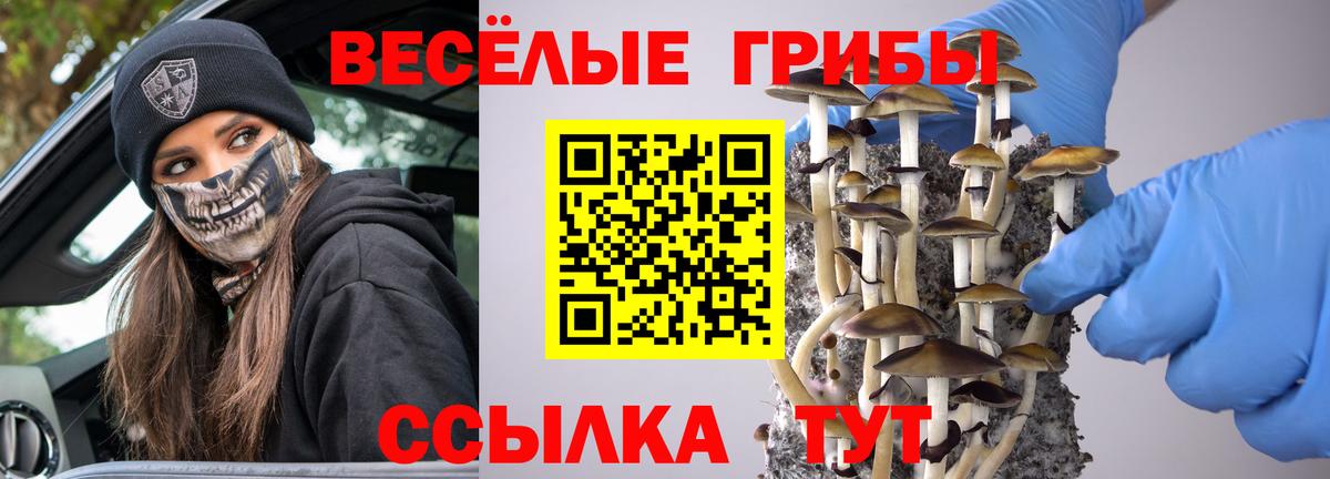 Галлюциногенные грибы мухоморы  Галлюциногенные грибы MAGIC MUSHROOMS  Ачхой-Мартан  Вход с VPN 